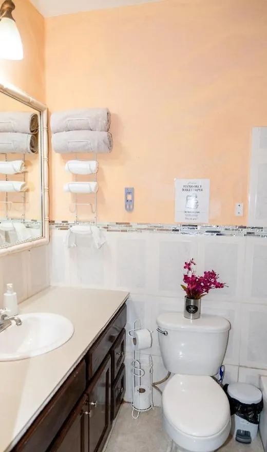 Apartment Mona Master Suite Kingston