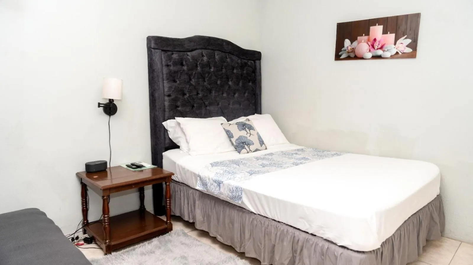 Mona Master Suite Kingston Apartment